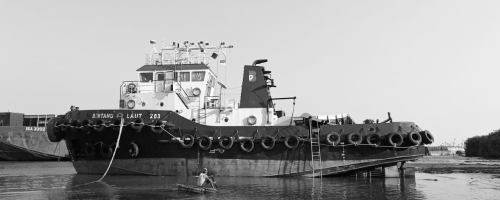 TB Bintang Laut 203